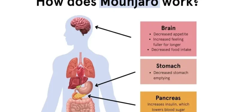 How Mounjaro Works for Weight Loss: Full Breakdown